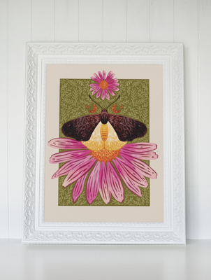 Butterfly and Coneflower