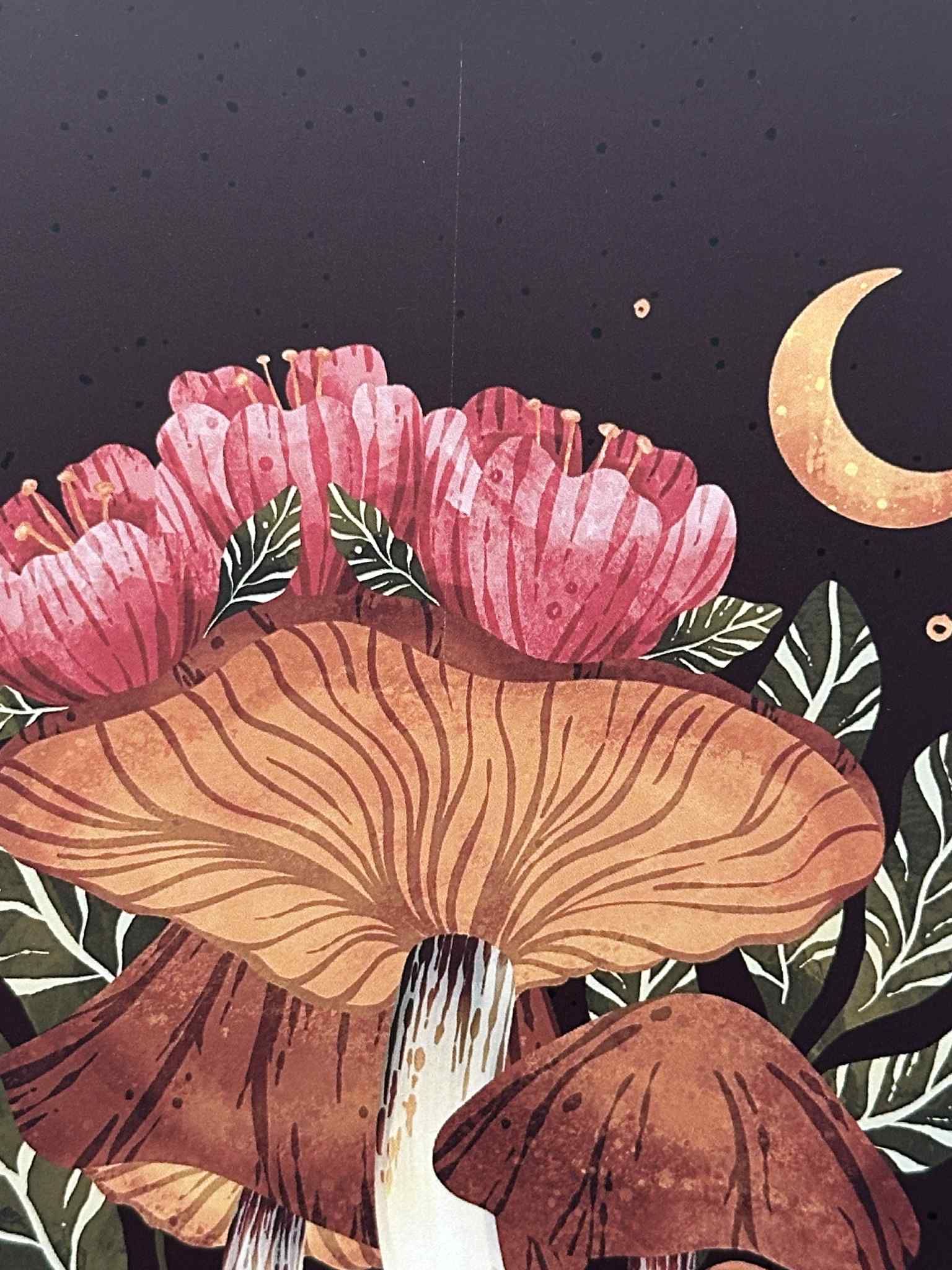 Floral Mushies 5x7 | B Grade