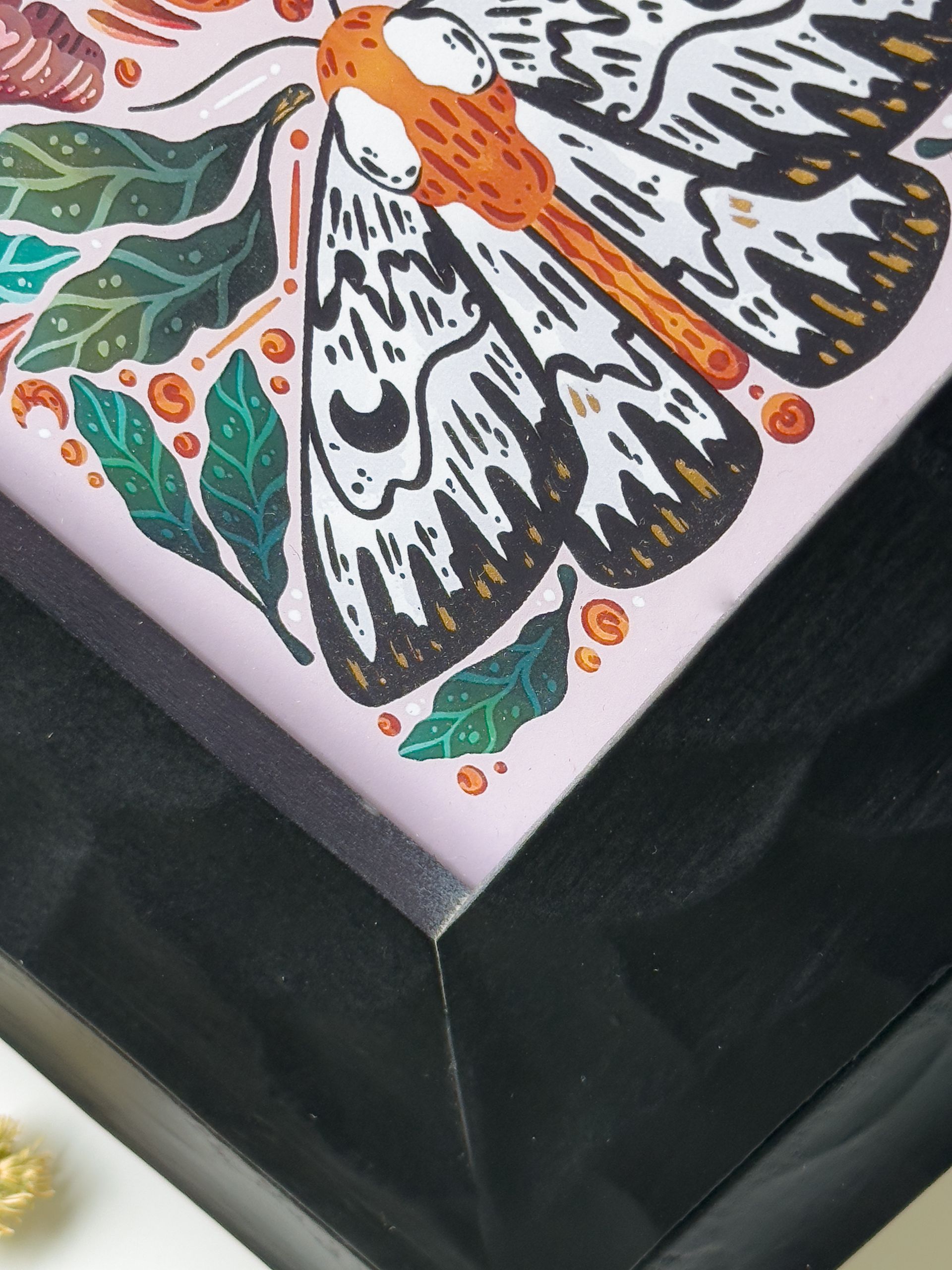 Original Framed 5x7 Moth