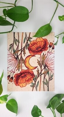 Poppies at Moonlight Poppies at Moonlight