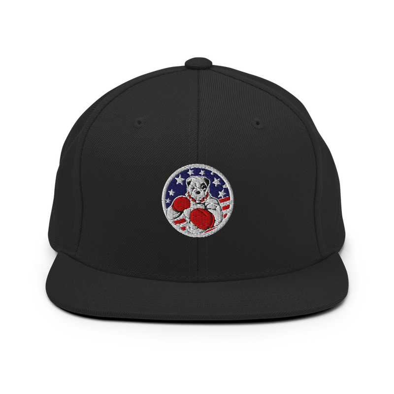 Classic Snapback