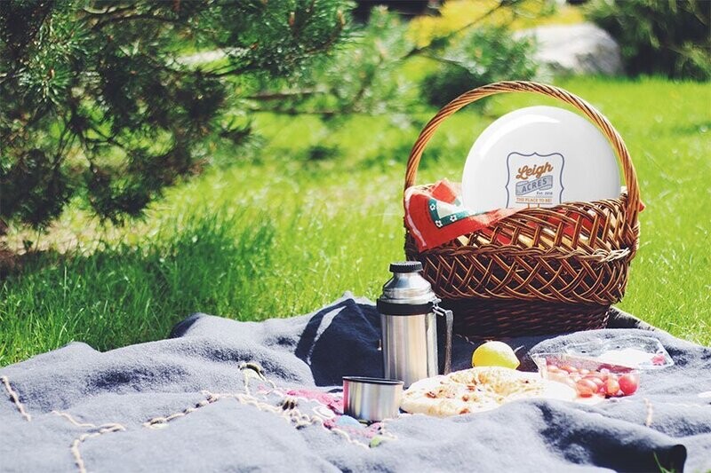 Picnic in the Park for Two