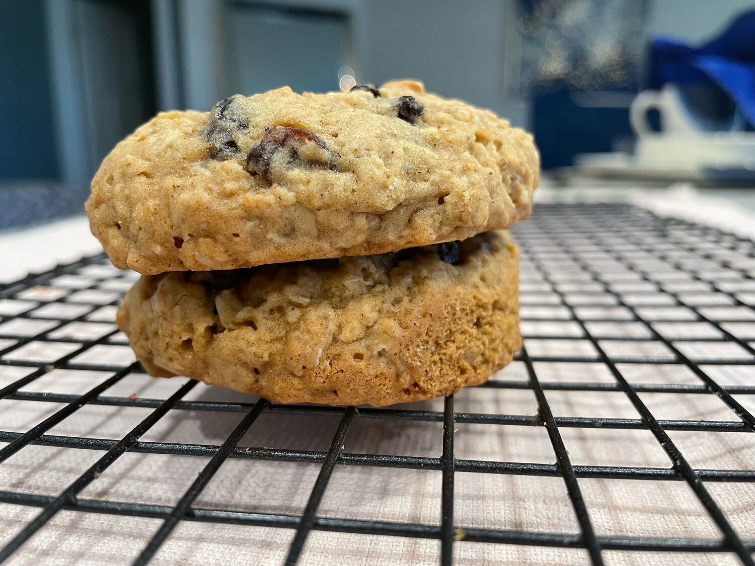 Hall &amp; Oats (Oatmeal Raisin)