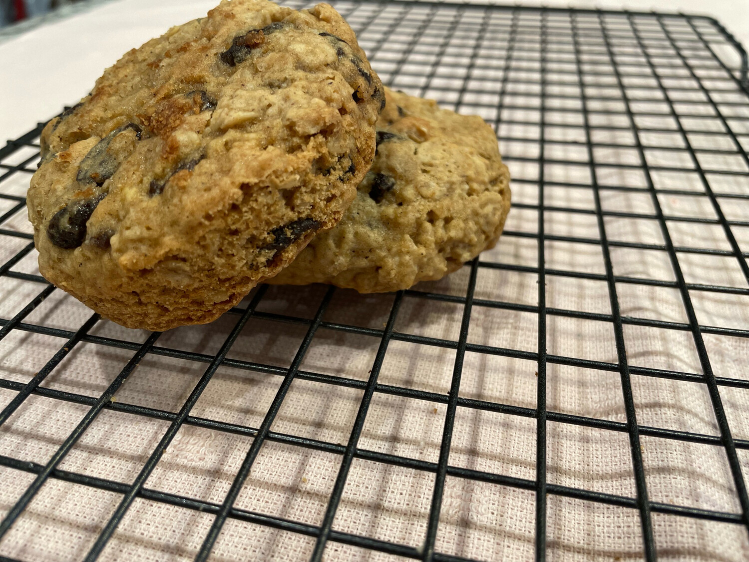 Hall &amp; Oats (Oatmeal Raisin)