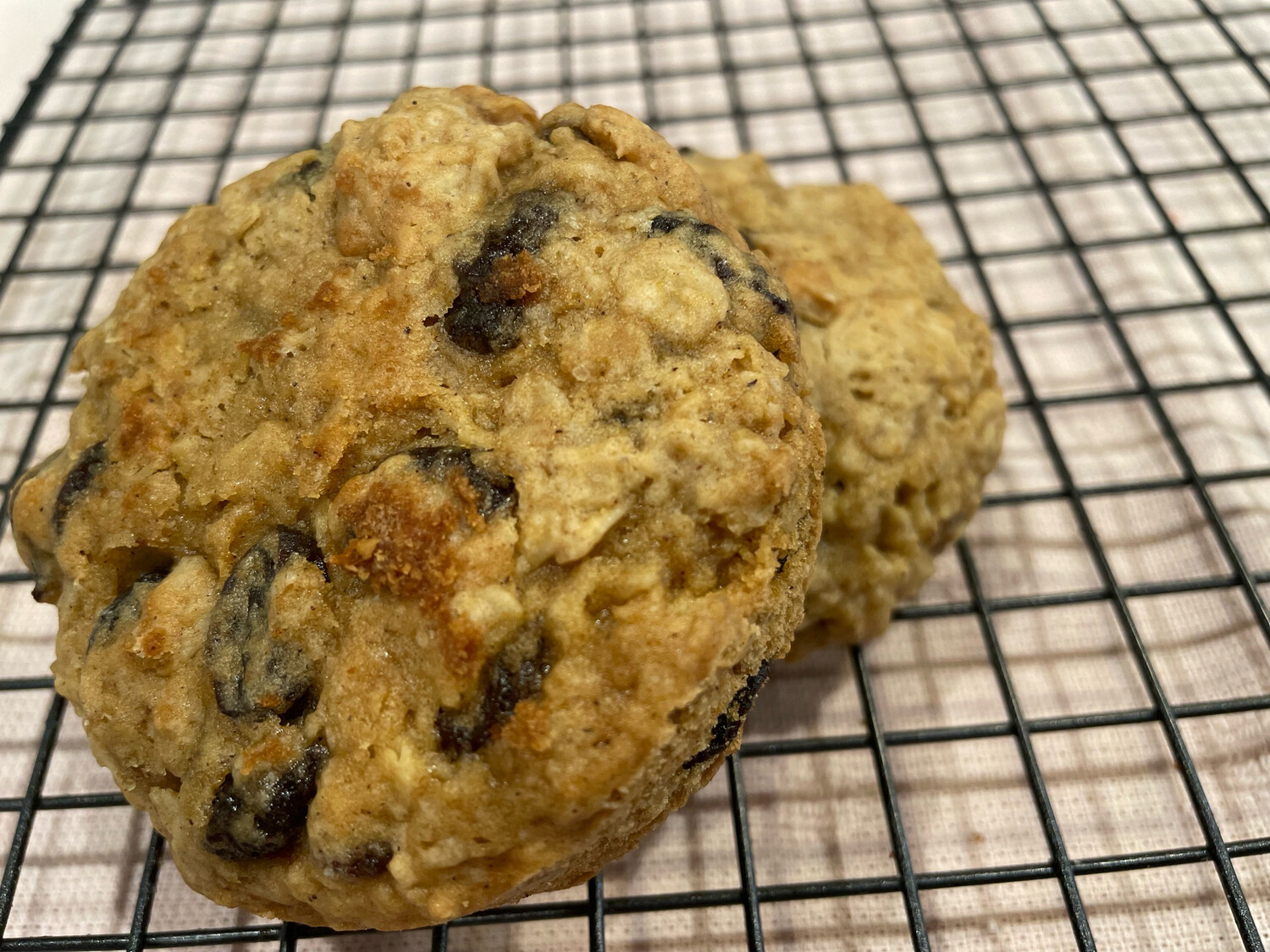Hall &amp; Oats (Oatmeal Raisin)