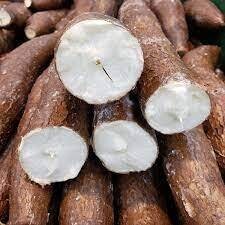 YUCA - CASSAVA (LB) CR