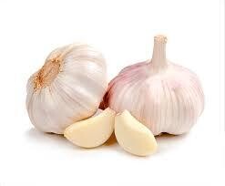AJO - FRESH GARLIC - ALHO FRESCO 3 CT