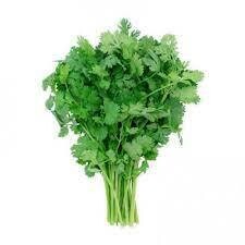 PEREJIL - SALSA - ITALIAN PARSLEY (EA) US