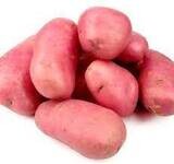 PAPA ROJA - RED POTATO 5 LB BAG (EA) US