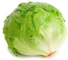 LECHUGA CELLO -ALFACE LETTUCE ICEBERG (EA) US