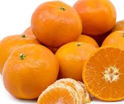 MANDARINA - TANGARINE FLORIDA (US)