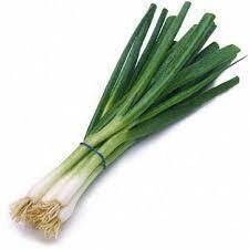 CEBOLLA LARGA -CEBOLINHA -GREEN ONION (EA) CA