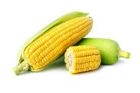 MAZORCA - YELLOW CORN - MILHO (EA) CA