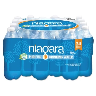 ROXANE DRINKING WATER 16.9 OZ 24 PK