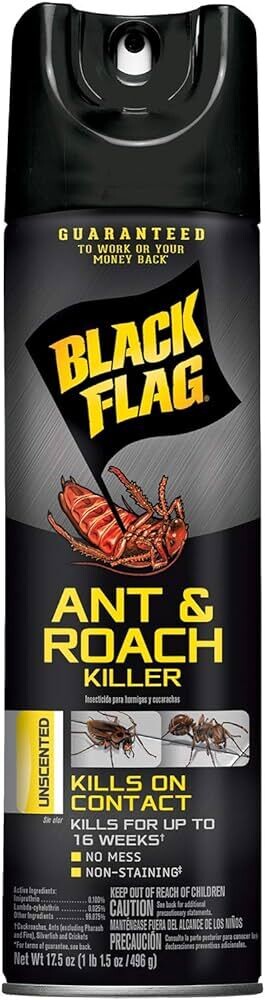 BLACK FLAG RAID ANT&amp;RCH KILLER SPRAY 17.5 OZ