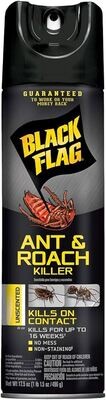 BLACK FLAG RAID ANT&amp;RCH KILLER SPRAY 17.5 OZ