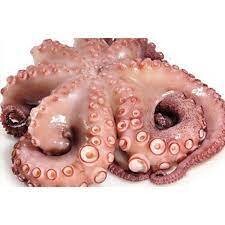 PULPO ENTERO Y LIMPIO - OCTOPUS (LB)