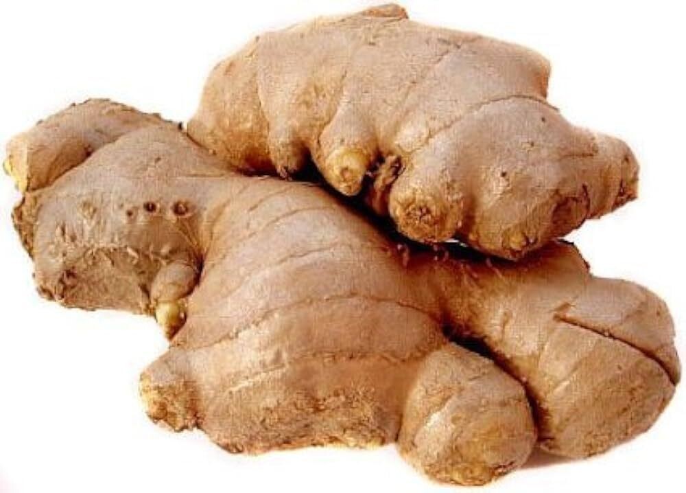 GINGER - JENGIBRE - GENGIBRE (LB) CR
