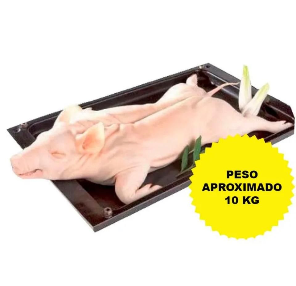 PIG - LECHON - LEITAO 21 ATE 70 LIBRAS