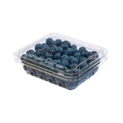 BLUEBERRIES - ARANDANOS - MIRTILO 6 OZ