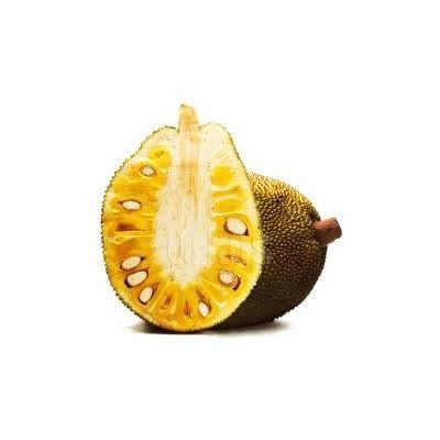 JACA - JACK FRUIT (LB)