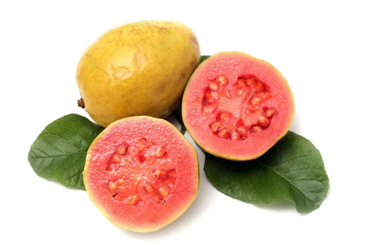 GUAYABA - GOIABA - GUAVA (LB) US