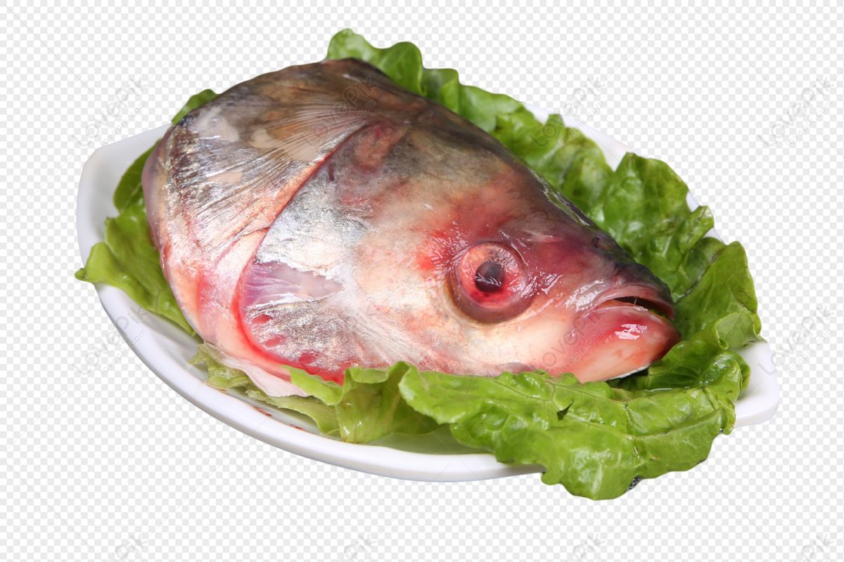 CABECA DE PEIXE-FISH HEAD-CABEZA DE PESC (LB)