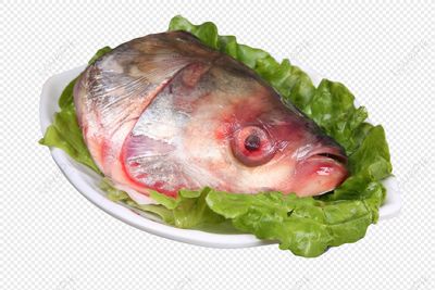 CABECA DE PEIXE-FISH HEAD-CABEZA DE PESC (LB)