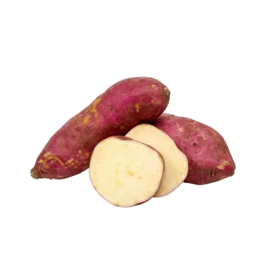 BATATA ORIENTAL - BRAZILIAN YAM (LB) US