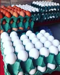 SABOR MINEIRO FREE RANGE OVOS CAIPIRA 12 PCK