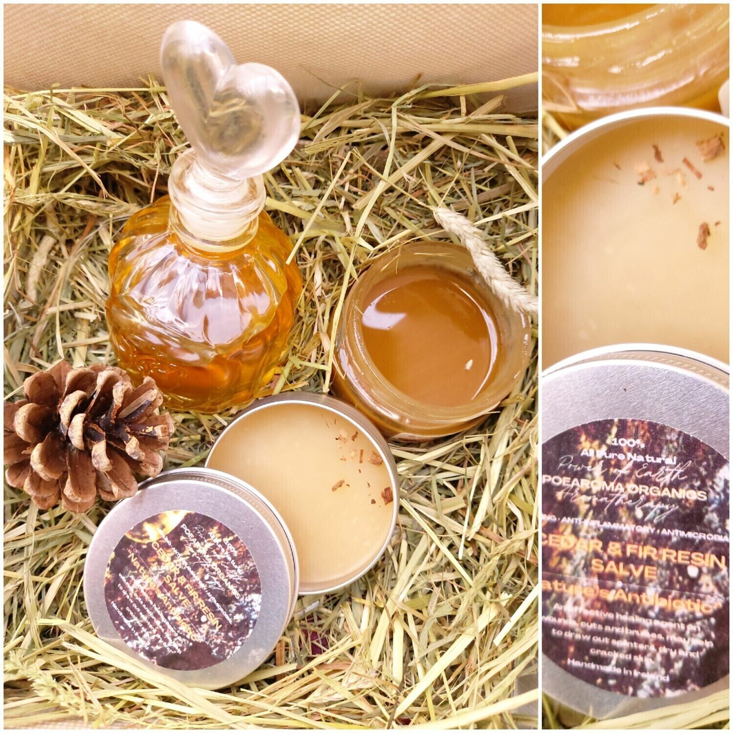 Cedar \ Fir Resin Healing Salve Organic 
