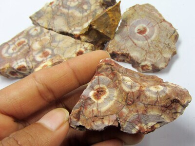 Rough Birds Eye Jasper Stone  - Grounding-Balance- Support 