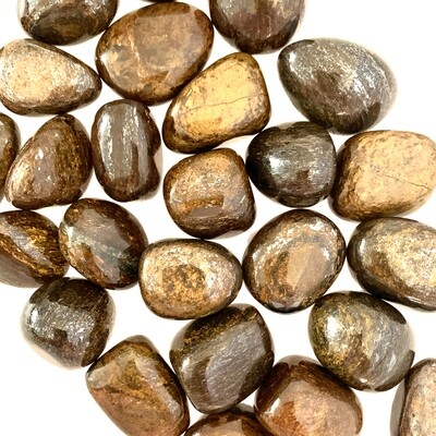 Bronzite tumbled crystal Trauma Healing  50-70mm