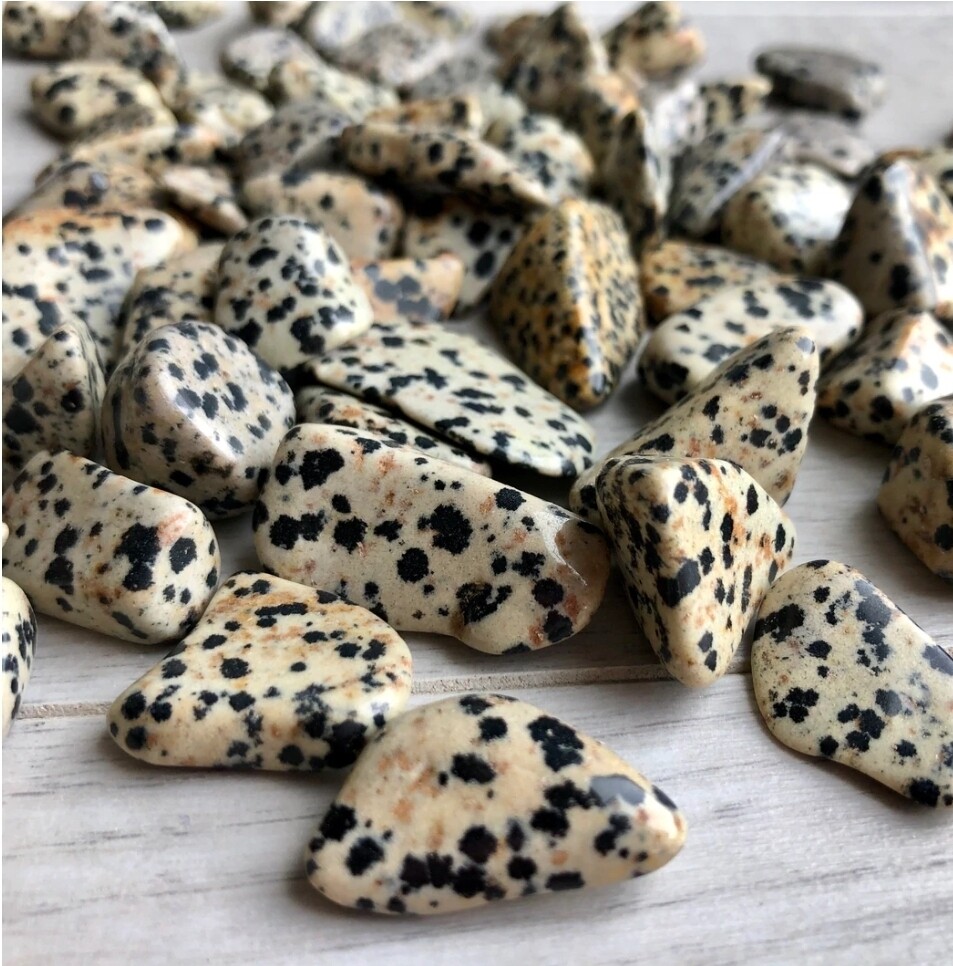 Dalmatian Jasper Crystal 