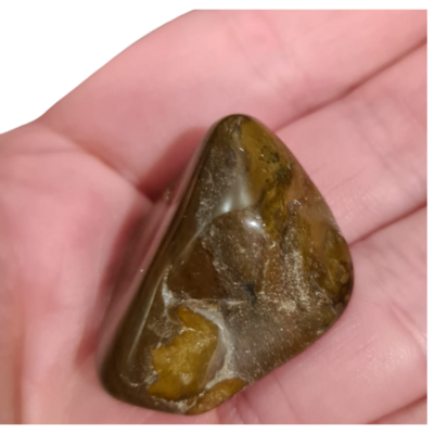 COPROLITE FOSSIL DINOSAUR DUNG POOP ANCIENT