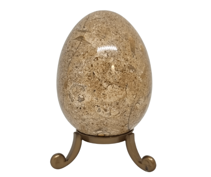 Egg Crystal Healing Natural Stones Large with stand 3"