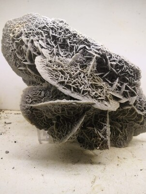 Plaster/ Gypsum/ Desert Rose Grey Mineral Stone Cullar Granada. SPAIN