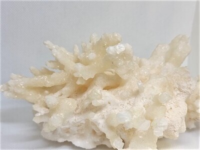 Coralloid Aragonite Crystal Cluster