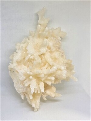 Coralloid Aragonite Crystal Cluster