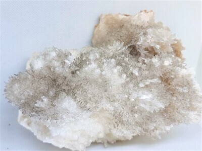 Museum quality large specimen of finely branching delicate white and grey aragonite | &#39;cave calcite&#39; | &#39;flos-ferri&#39; 