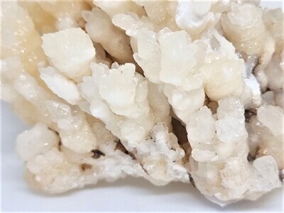 Coralloid Aragonite Cluster Crystal. Mined from Macael.
Almería. SPAIN