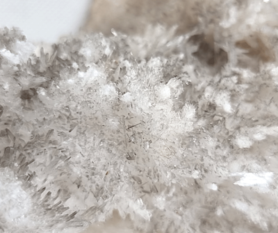 Museum quality large specimen of finely branching delicate white and grey aragonite | 'cave calcite' | 'flos-ferri'