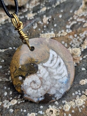 Goniatite Fossil Pendant Necklace, Morocco