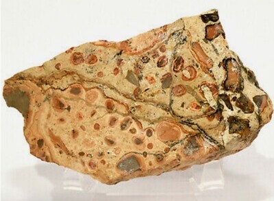 Rough Leopardite Natural Stone - Let it Go