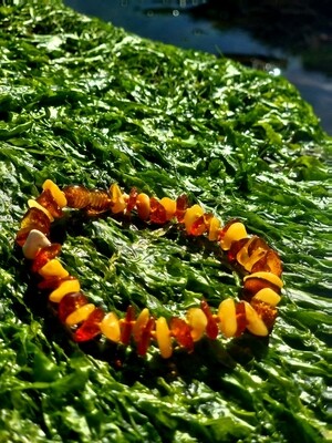 Natural Baltic Amber Crystal Bracelet 