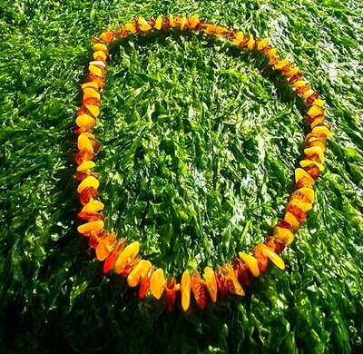 Natural Baltic Amber Multicolour Necklace Adult 
