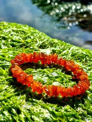 Amber Bracelet Elastic (Natural Certified Amber)