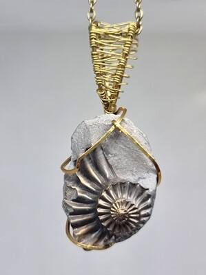 Pyritized Ammonite Wirewraped pendant necklace