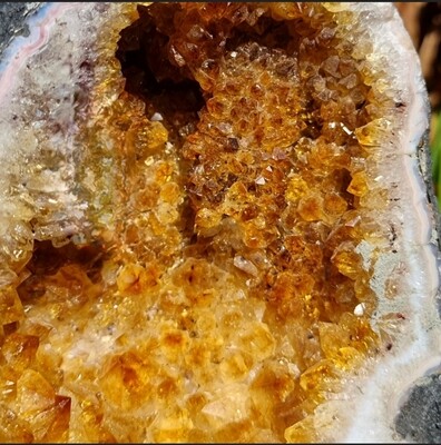 Citrine Crystal Cathedral Cluster Quartz Geode Large