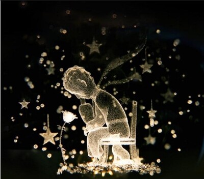 LITTLE PRINCE WITH ROSE Memories CRYSTAL BALL LED LIGHT LAMP MULTICOLOR WITH GIFT BOX COMPLETE MULTICOLOUR 
